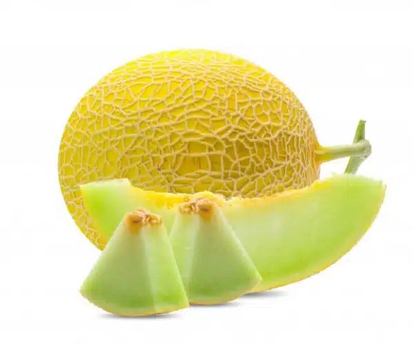 honeydew