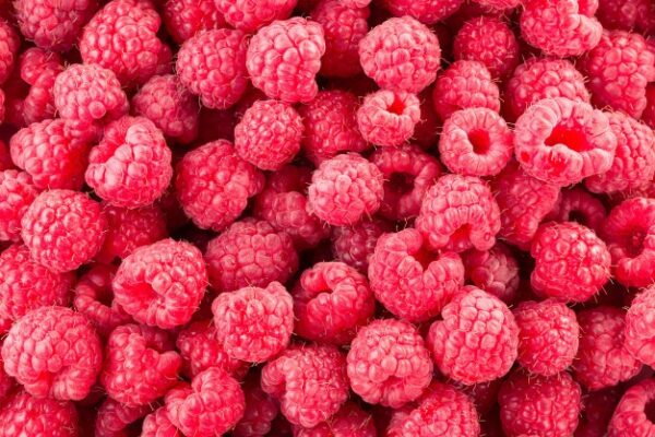 raspberry