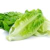 Lettuce Romaine