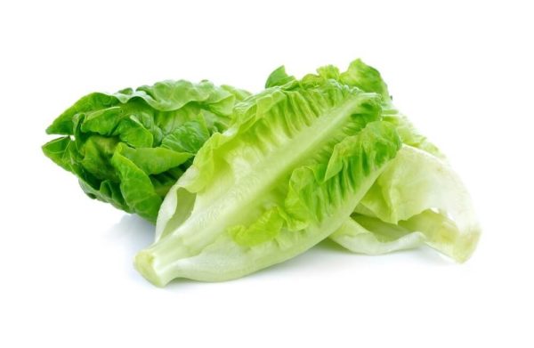 Lettuce Romaine