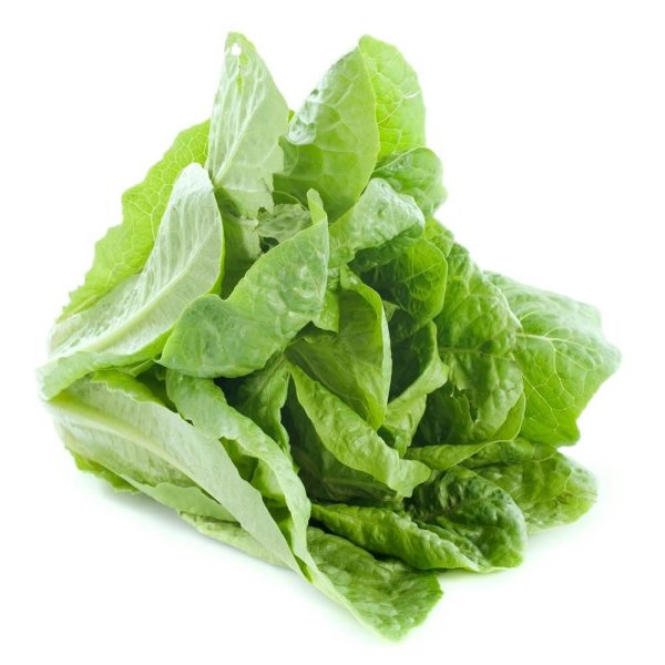 Lettuce Romaine