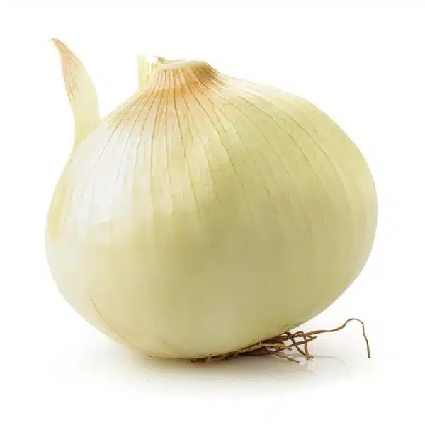 Sibuyas (Onion White)