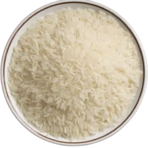 HKA Rice