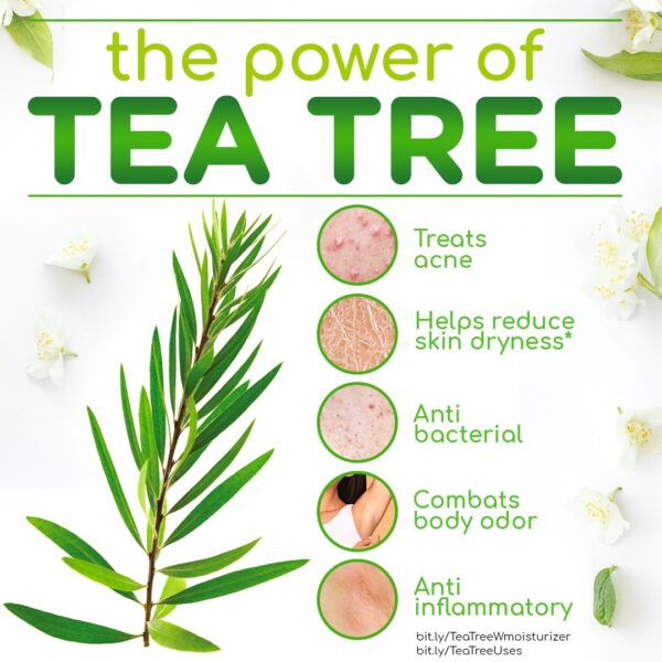 The Power of Tea Tree